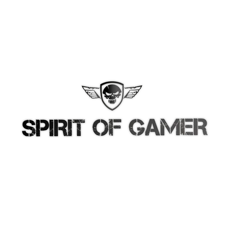 Spirit Of Gamer